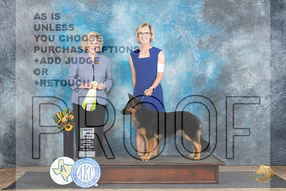 Bohemain Shepherd #6 Fri OBIS Judge Vicki Abbott__JP_9288_Abilene_2024_HR3