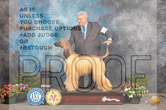 Afghan Hound #14 WBCh Judge Debra Thornton_MJ_0004_SA_2022_HR3
