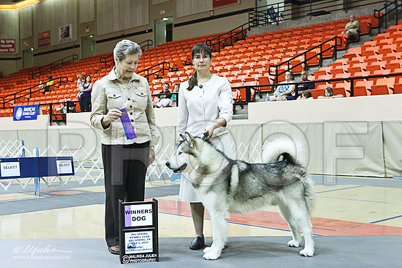 win photo-7539LR