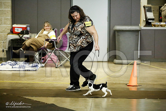 _JJ_5990-BeltonJan2015IABCA-HR3