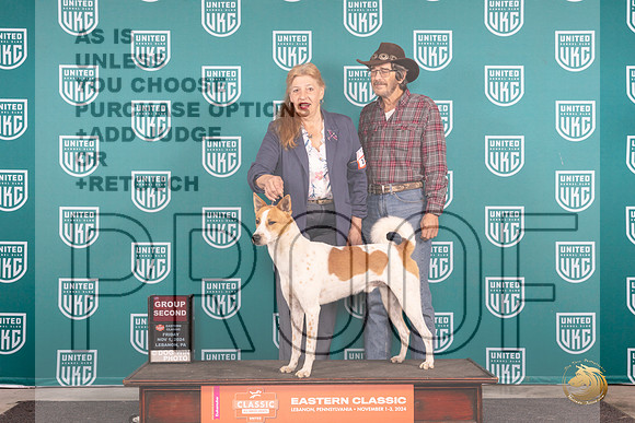 Canaann Dog #115 Fri G2 Judge Kathy Russell __JP_1975_UKCEastern_2024_HR3