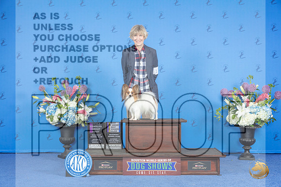 Papillon #11 Sat BOBWDBOWOHG1 Judge Nancy Liebes__JP_0069_Houston_2024_HR3