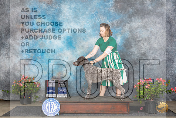 German Shorthaired Pointer #11 Sun BOSOHBOBM Judge Elizabeth ‘Beth’ Sweigart__JP_5807_San Antonio_2024_HR3
