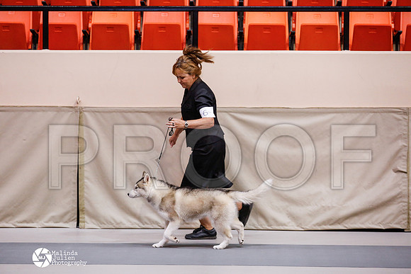_RH_6352-BgSprngMay14-HR3