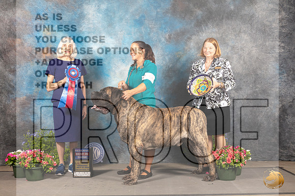 Mastiff #9 Thur RBIS Judge Jan Paulk_MJ_0025_SA_2022_HR3