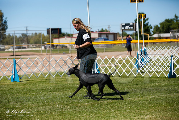 _JJ_8295-AlamogordoOct2014-HR3