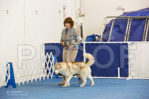 _M3_7545-AddisonHuskyMar2015-HR3