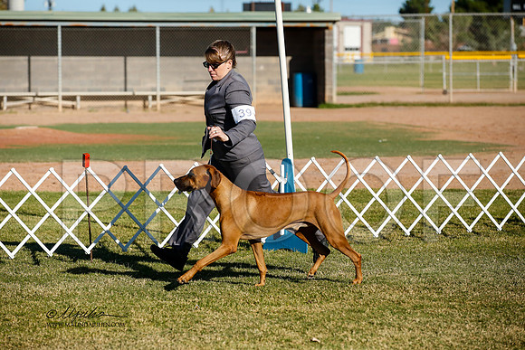 _JJ_2184-AlamogordoOct2014-HR3
