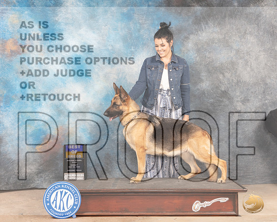 German Shepherd Dog #6 Sun BOB Judge Joan Liebes-MMJ_4961-Abilene2022-HR3