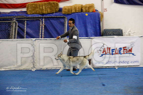 _M3_0621-AddisonHuskyMar2015-HR3