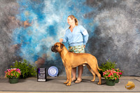 Bullmastiff #5 WD Judge Jan Paulk