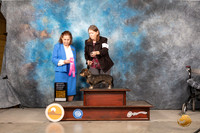 Dachshund Wirehaired #9 Sat OHG2 Judge Donnelle Richards