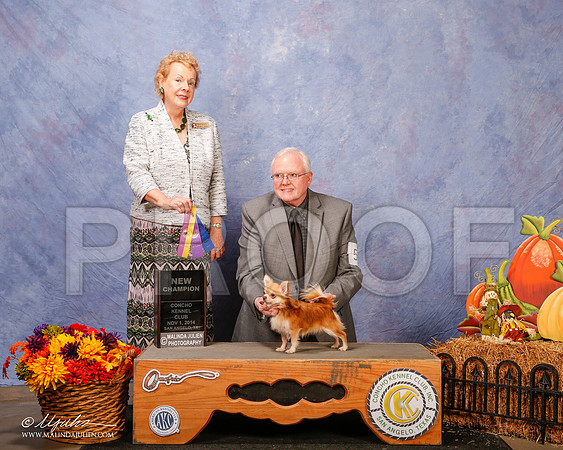 _CL_4477-2-SanAngelo2014-HR3