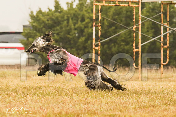 _MJ_3026-AfgBeltonOct2014-HR3