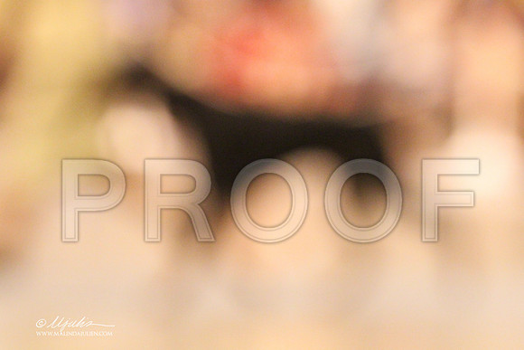 Dobe-1566 PROOF