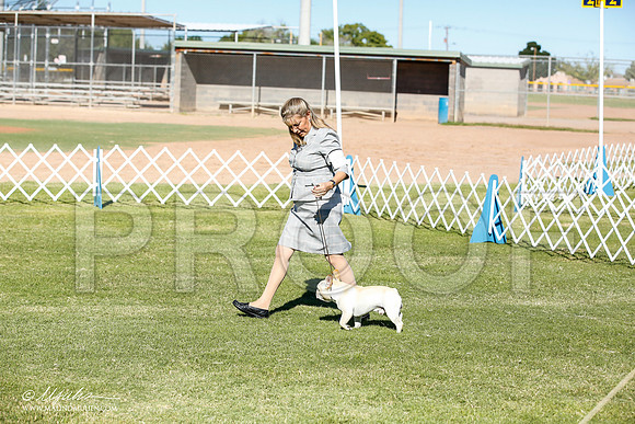 _JN_8453-AlamogordoOct2014-HR3