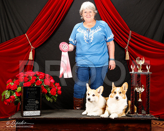 _ST_3393-2-HstnCorgiBeb2015-HR3