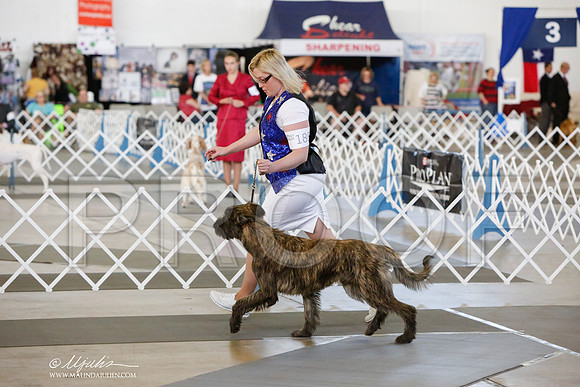 _JJ_7408-DallasJul2014-HR3