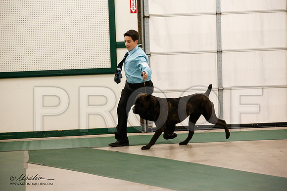 _JN_0619-NrmnNov2014-HR3