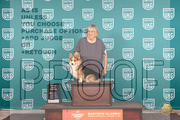 Pembroke Welsh Corgi #201 Fri RGCH TD Polly Jones__JP_2062_UKCEastern_2024_HR3