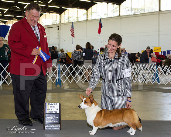 _RH_7928-DallasDec2014-HR3