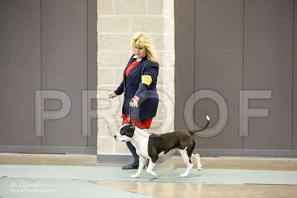 _RH_0025-BeltonJan2015-HR3
