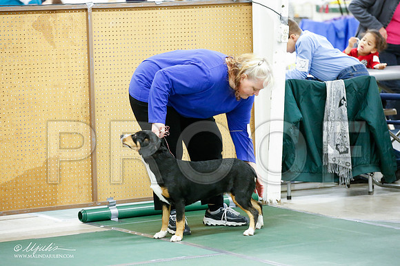 _JJ_4462-NrmnNov2014-HR3