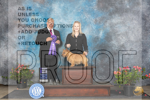Norwich #9 Sun WD Judge John F Booth__JP_5874_San Antonio_2024_HR3