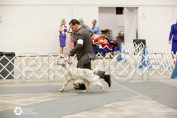 _JN_0833-AblnMay2014-web