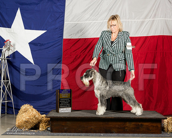 _ST_1734-AmarilloSep2014-HR3