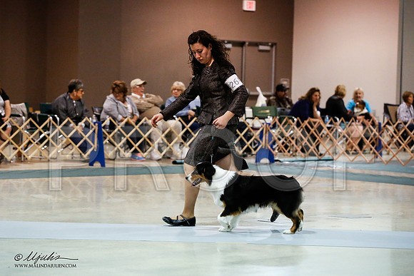 _JN_8714-ASCACollegeStationNov2014-HR3