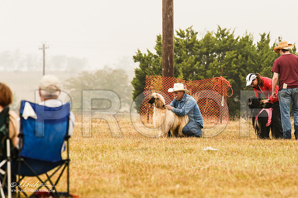 _MJ_3237-AfgBeltonOct2014-HR3