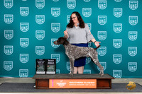 German Shorthaired Pointer #165 Sun1 BOBCH Judge Pamela Perdue