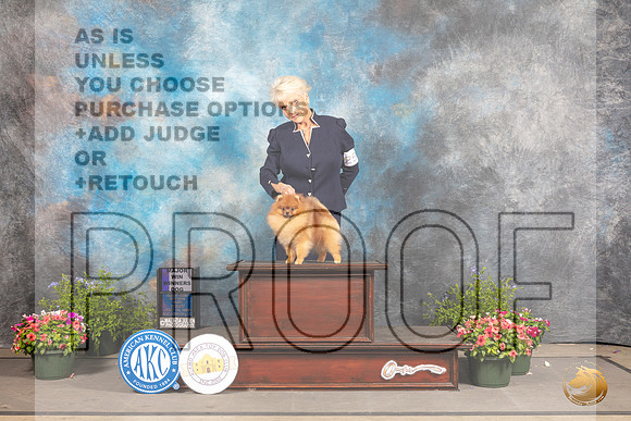Pomeranian #25 Fri WD Judge George Milutinovich_MJ_0054_SA_2022_HR3