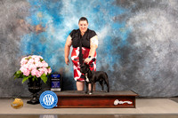 Staffordshire Bull Terrier #6 FRI WB BOW Major Judge Linda Hurlebaus