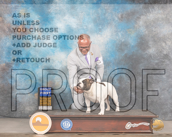 Bulldog #8 Thurs G1 Judge Barbara AldermanMMJ_2508_Mdlnd2022_HR3