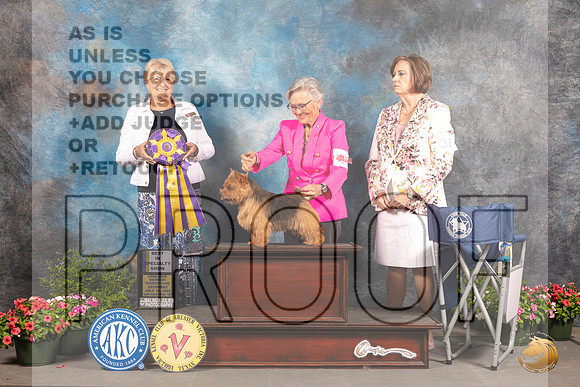 Norwich Terrier #23 Sat BISS Judge Debra Thornton_MJ_0062_SA_2022_HR3