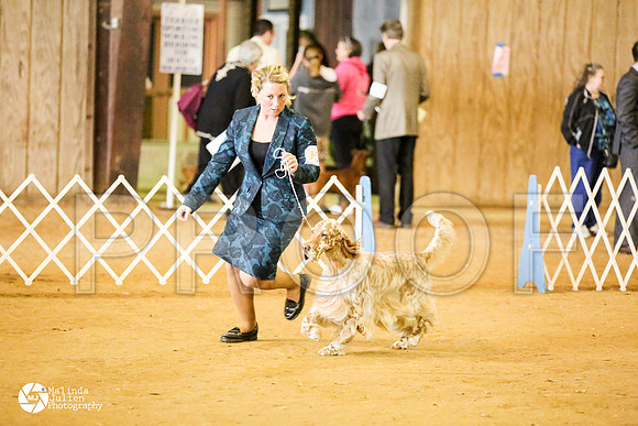 CCL_1588-HstnMar14-HR3