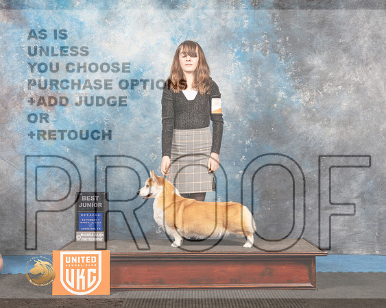 Pembroke Welsh Corgi #209 Sat1 BestJr Judge Pam Moore_MMJ_6229_Addison2022_HR3