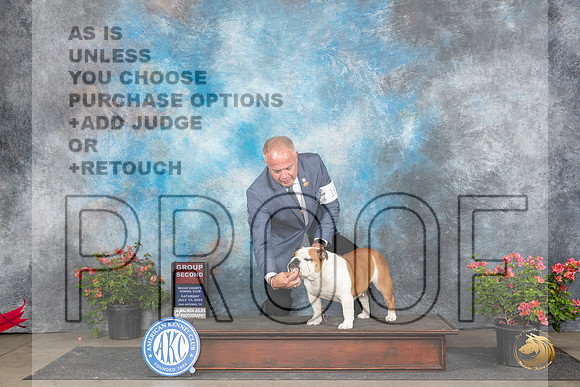 Bulldog #16 Sat G2 Judge Karen McFarlane__JP_5557_San Antonio_2024_HR3