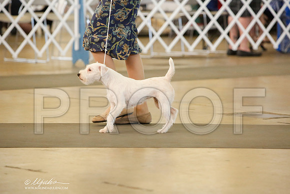 _JJ_8019-DallasJul2014-HR3