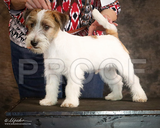 JRT-9382-CntnOct13-HR