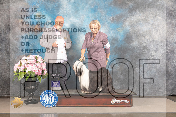 Tibetan Terrier  #10 FRI G4 Judge Jeffery Bazell_MJ_5830_Houston_2022_HR3