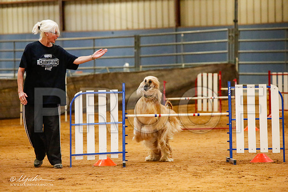 _MJ_2569-AfgBeltonOct2014-HR3
