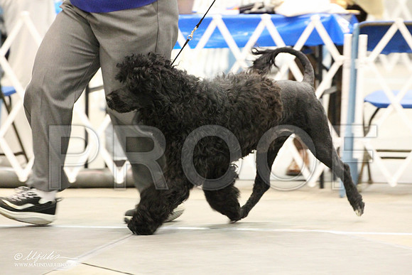IMG_8662-Abilene2011-HR3