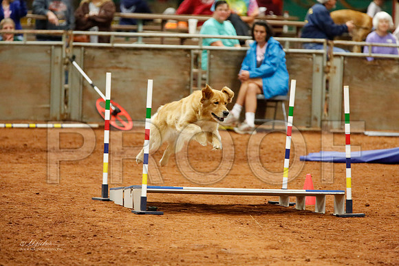 StdNov20-7392-WFOct2013-HR