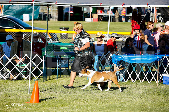 _JN_9921-AlamogordoOct2014-HR3