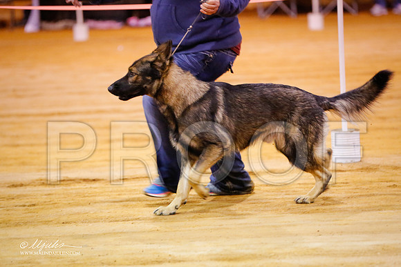 GSD-9179-MrshllDec13-HR