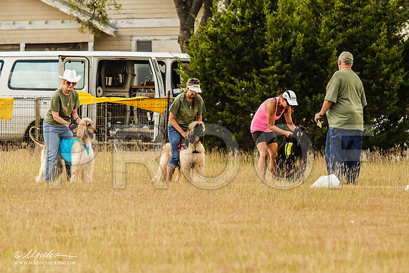 _MJ_4828-AfgBeltonOct2014-HR3