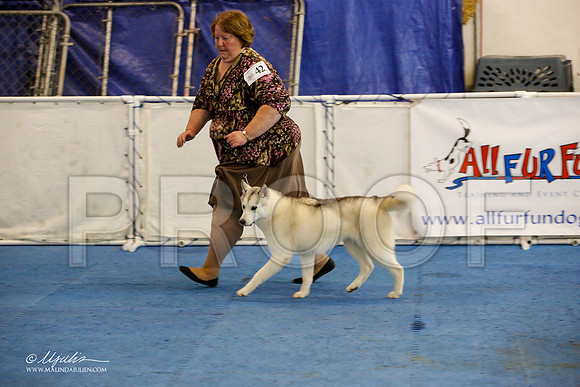 _M3_0711-AddisonHuskyMar2015-HR3